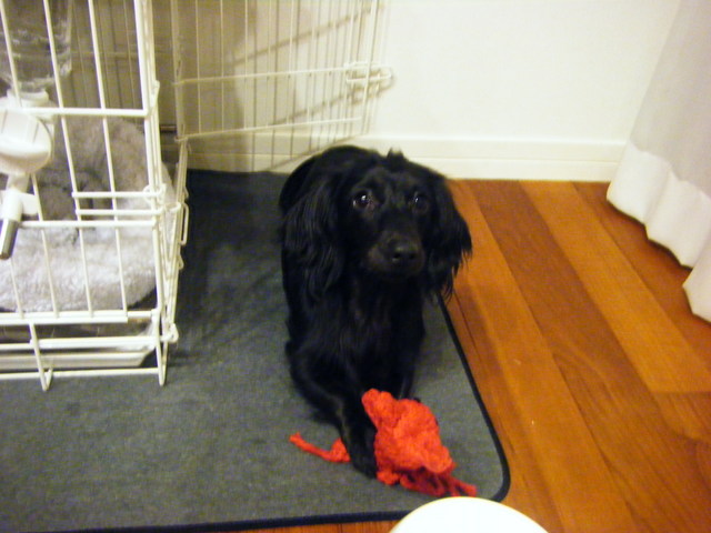 20091223 009