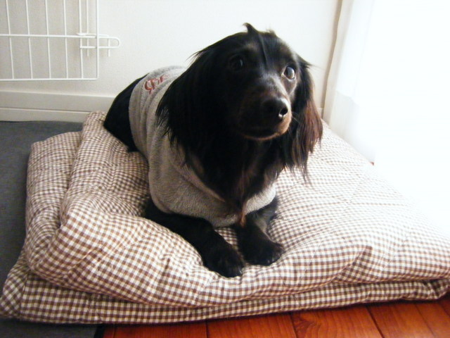 20100128 006