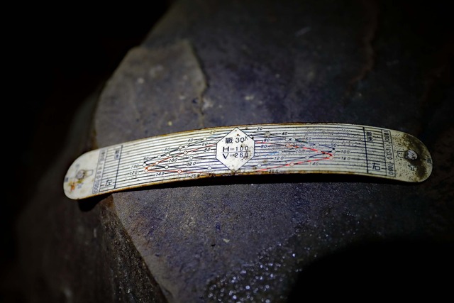 61