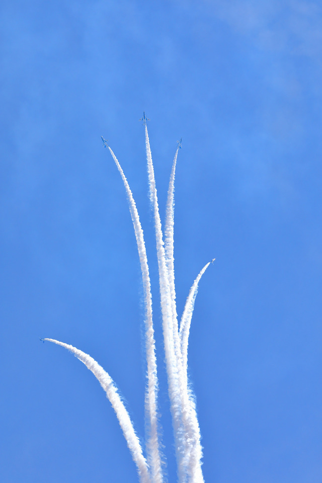 48