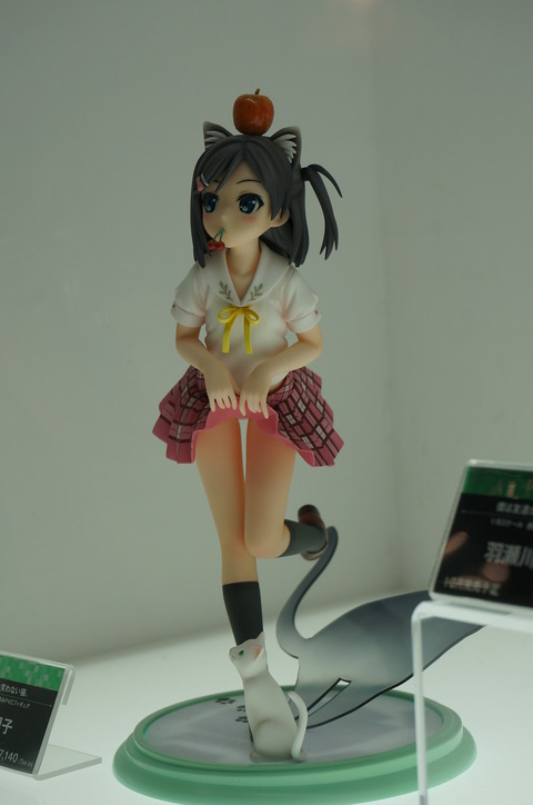 DSC00546