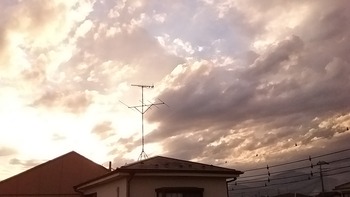 e3d5368e.jpg