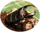 a0fe4409.jpg