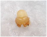 d4e7a545.jpg