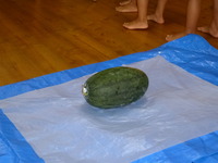 P1010019