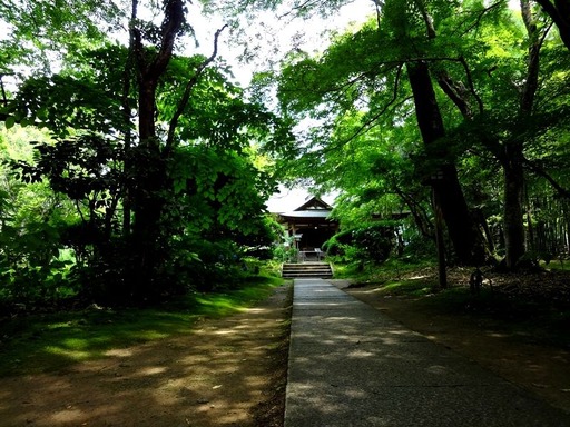 DSC00960_R