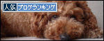 br_decobanner_20090829165036