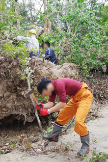 IMGP9536_2