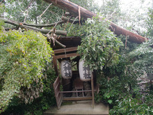 IMGP9586