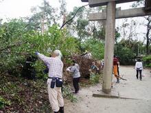IMGP9544_2