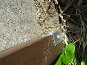 IMG_2509_R
