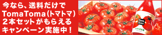 送料をはらうだけ、トマトマ プレゼント