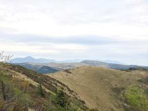 IMG_3990