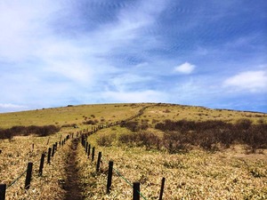 IMG_4042