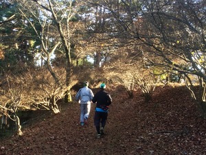 IMG_0210