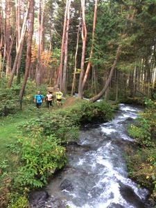 IMG_8287