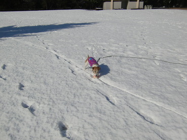 2012年 1月 013