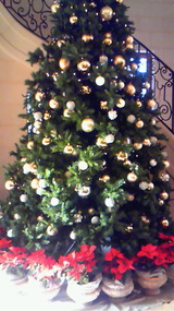 1db8a880.jpg