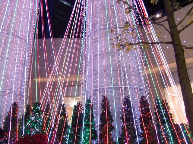2010 ¥¯¥ê¥¹¥Þ¥¹ ¥Ç¥£¥º¥Ë¡¼¥·¡¼ 070