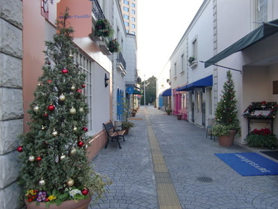 2011 12 132
