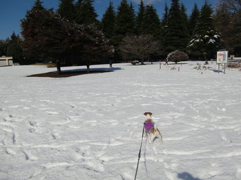 2012年 1月 010