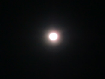 2012ǯ¡¡5 033