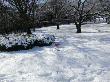 2012年 1月 001