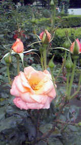 4734d9b4.jpg