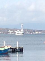 491cc09a.jpg