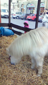 7f125745.jpg