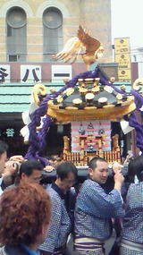 8982102e.jpg