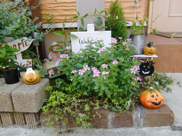2011 ¥Ï¥í¥¦¥£¥ó 007