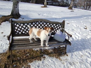 2012 1 111