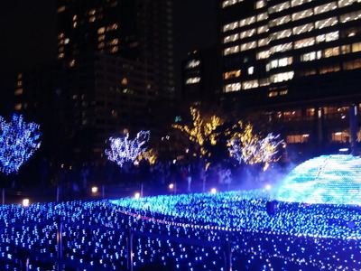 2011 12 110