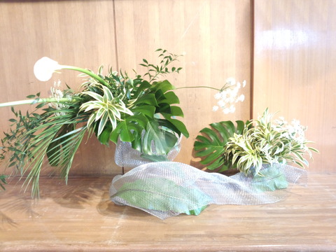 b8fa7107.jpg