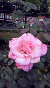 c33ff979.jpg