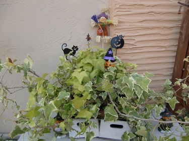 2011 ¥Ï¥í¥¦¥£¥ó 005