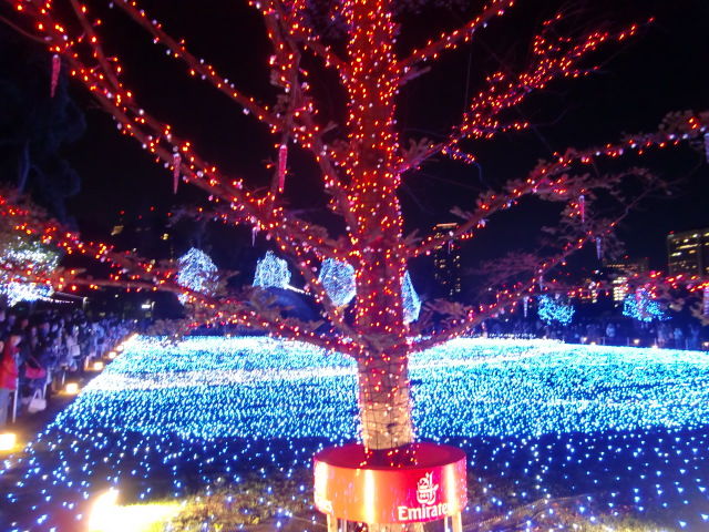 2010 ¥¯¥ê¥¹¥Þ¥¹ ¥Ç¥£¥º¥Ë¡¼¥·¡¼ 081