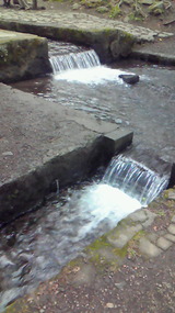 e6f26985.jpg