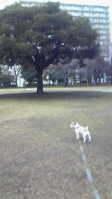 ed6d7443.jpg