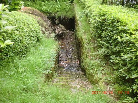 CIMG0119