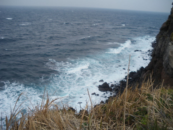 IMGP0009