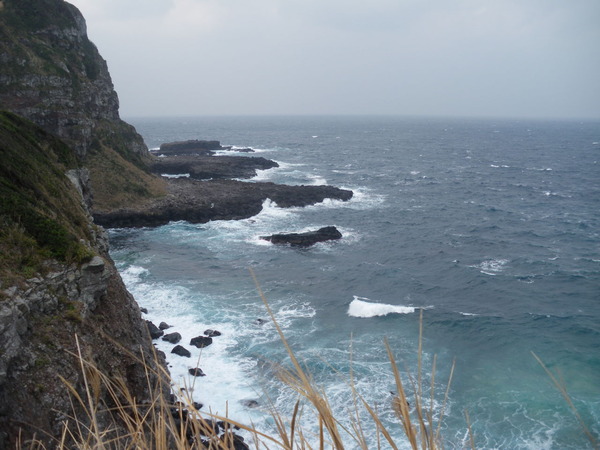 IMGP0008