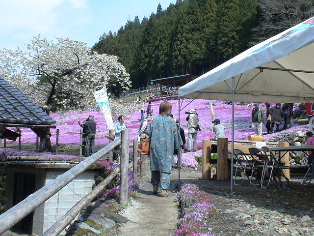 DSC06425