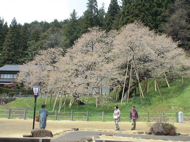 DSC06463