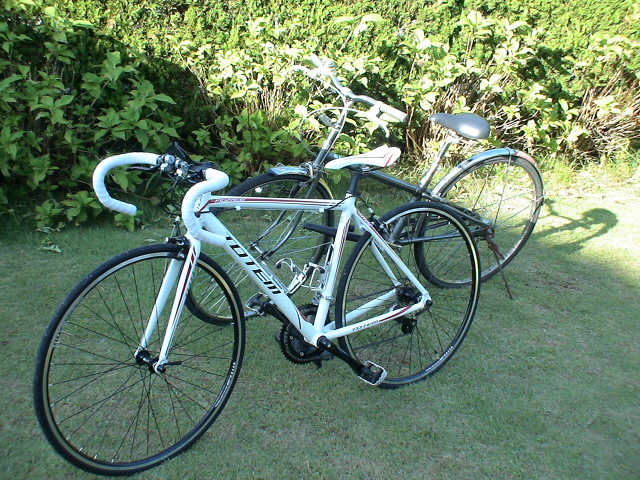 Byc