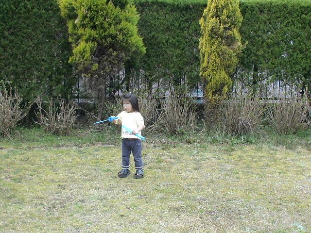 DSC063361
