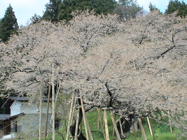 DSC06462