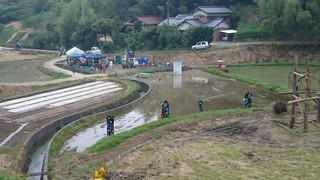 13321668_817638068367060_1578129176070216025_n