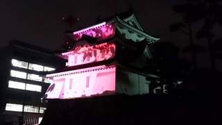 赤い城_n